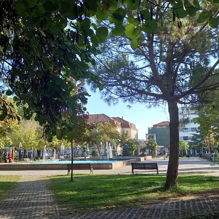 Comfort Shkoder
